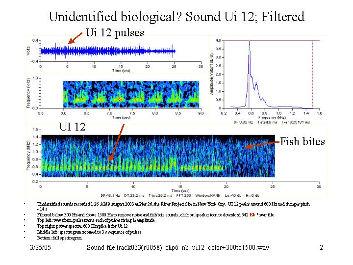 Filtered sonar-like